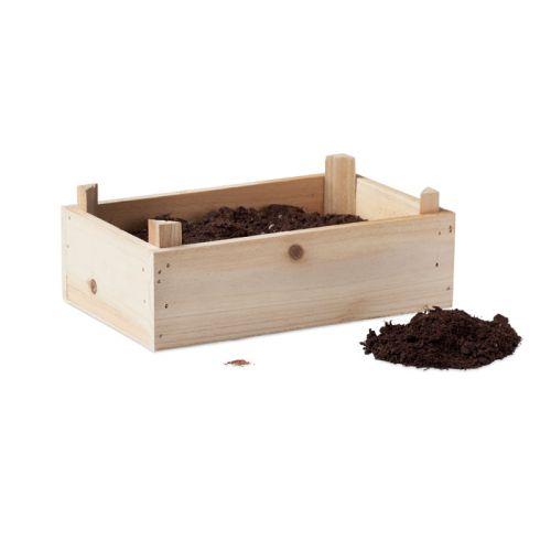 Strawberry growing kit - Image 2